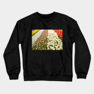 Keukenhof Tulip Festival, Holland Crewneck Sweatshirt